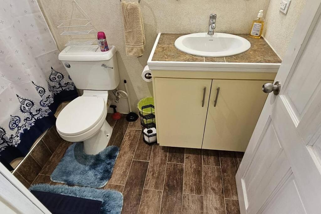 Seclusion Studio Apartment. Saint Philip Extérieur photo